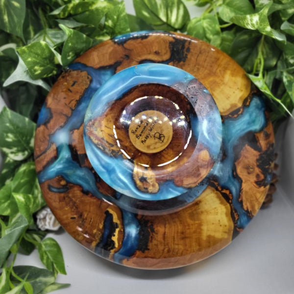 Pussy Willow & Blue Resin Pedestal Bowl by Ronald Bemmann