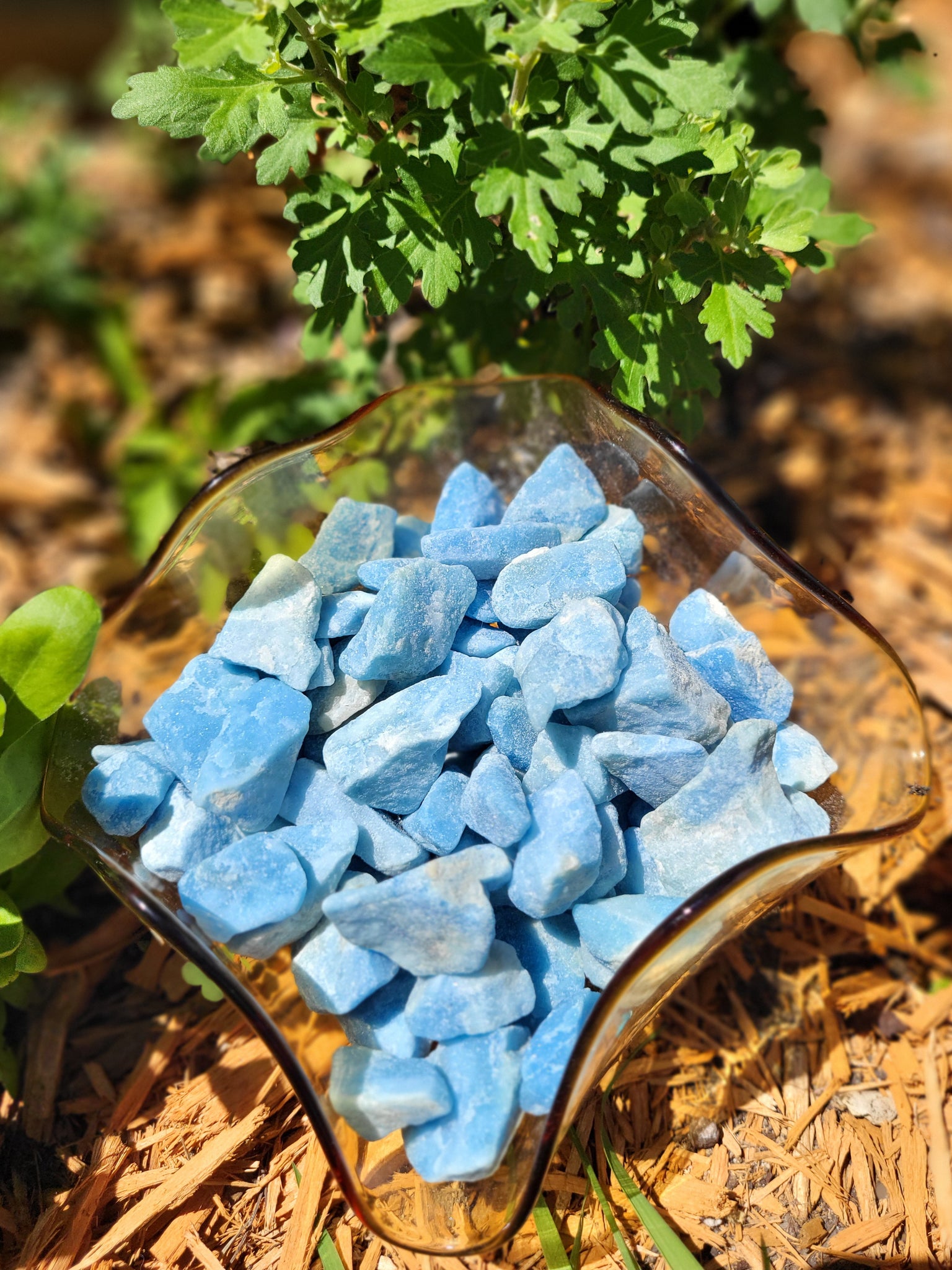 Rough Durmortierite