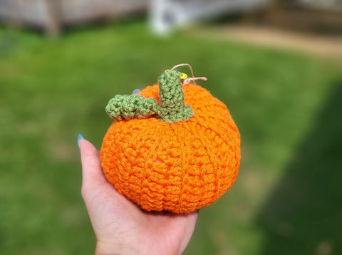Orange Pumpkin