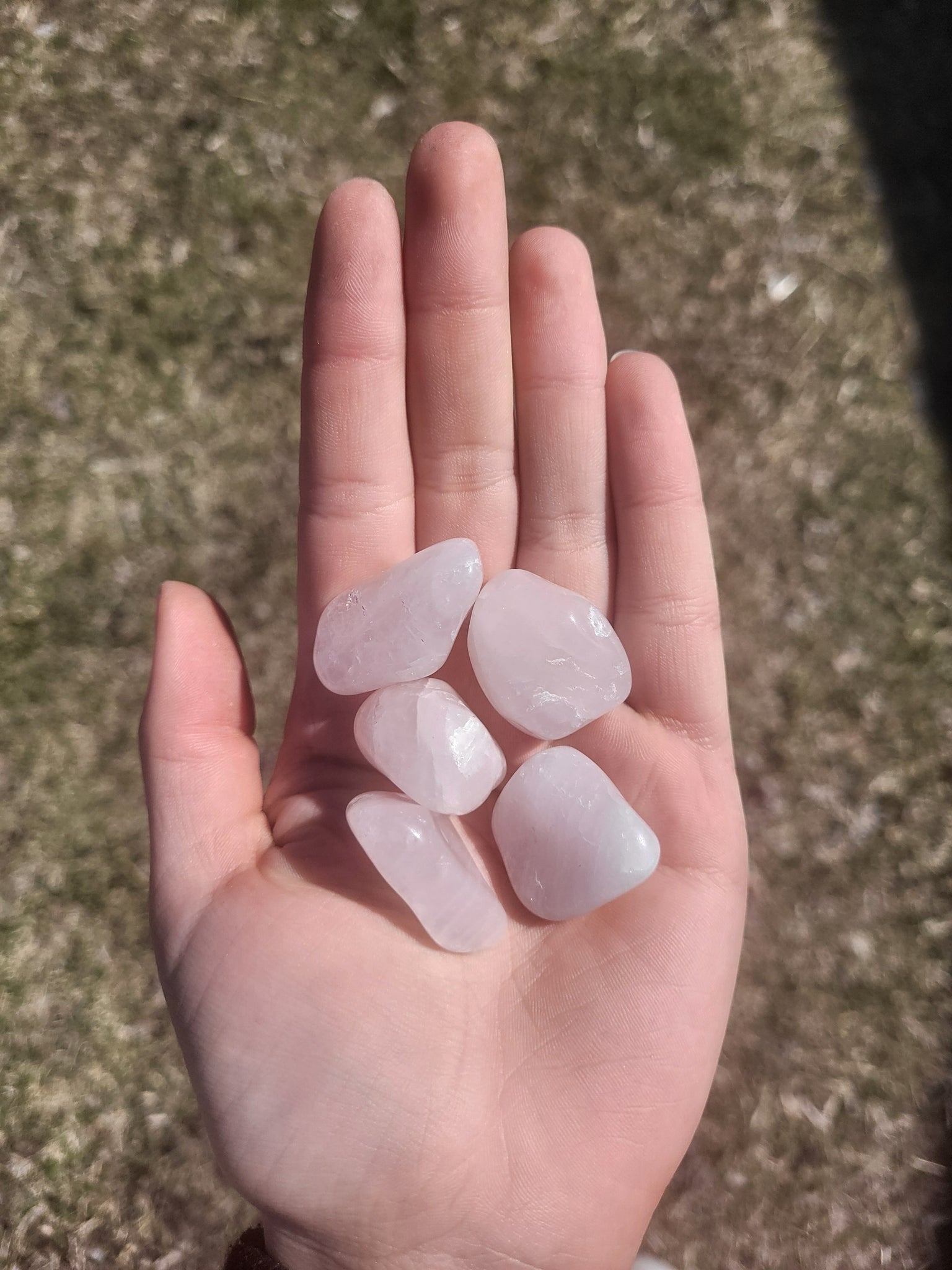 Polished Rose Quartz Tumbles