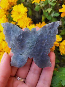 Labradorite Butterfly