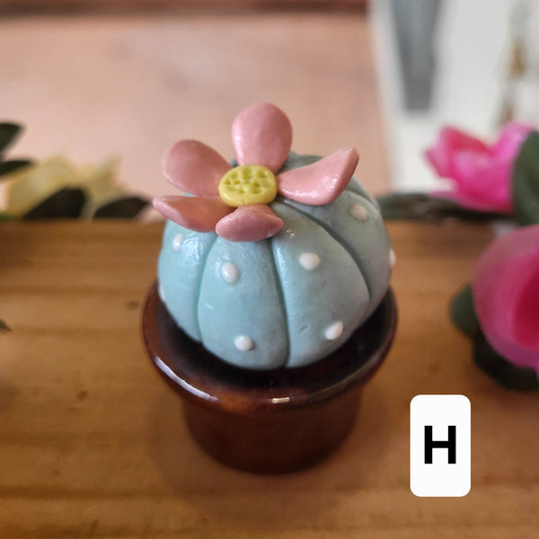 Handmade Miniature Ceramic Cactus & Succulent Figurines