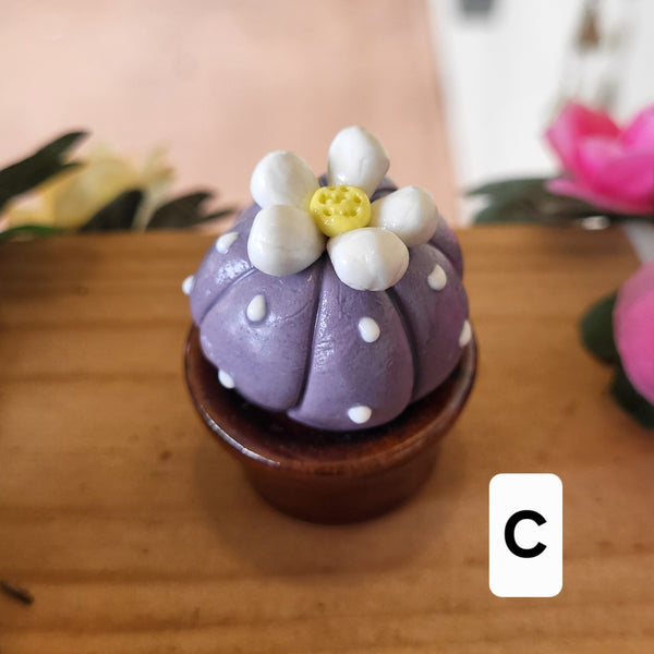 Handmade Miniature Ceramic Cactus & Succulent Figurines