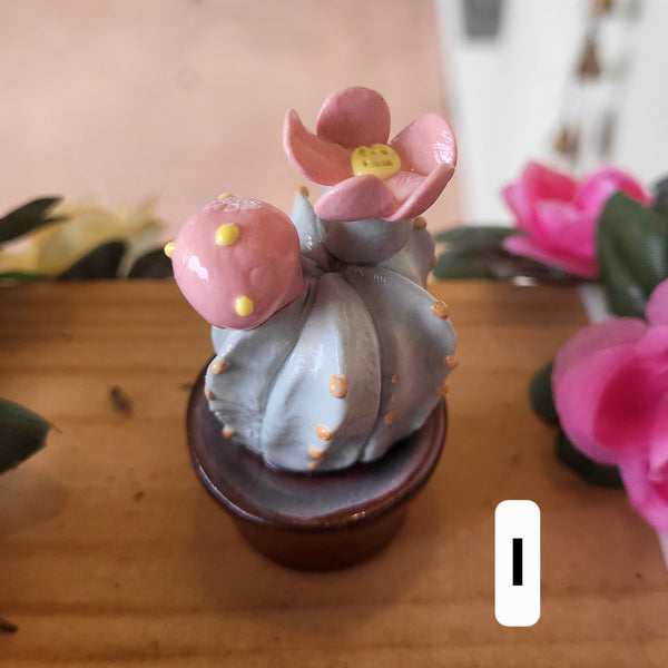 Handmade Miniature Ceramic Cactus & Succulent Figurines