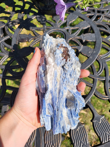 Blue Kyanite with Garnet Specimen