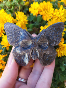 Silver Sheen Obsidian Skull Moth