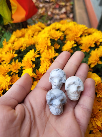 Mini Howlite Skull