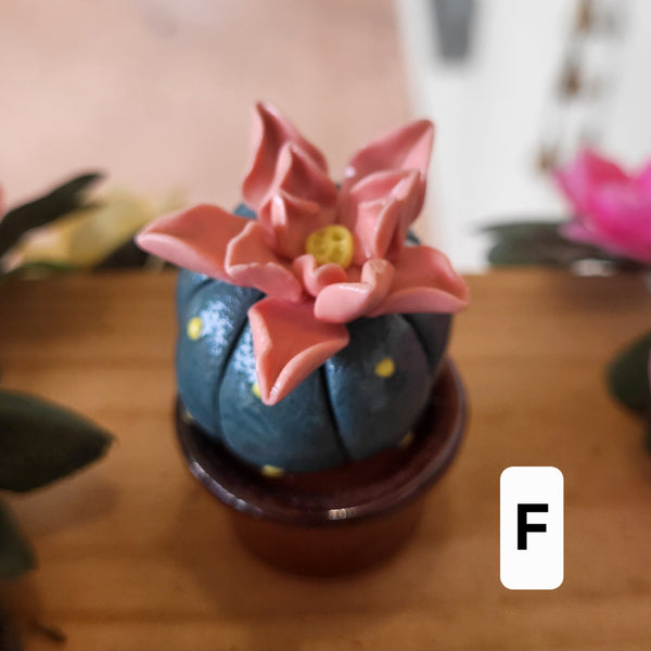 Handmade Miniature Ceramic Cactus & Succulent Figurines