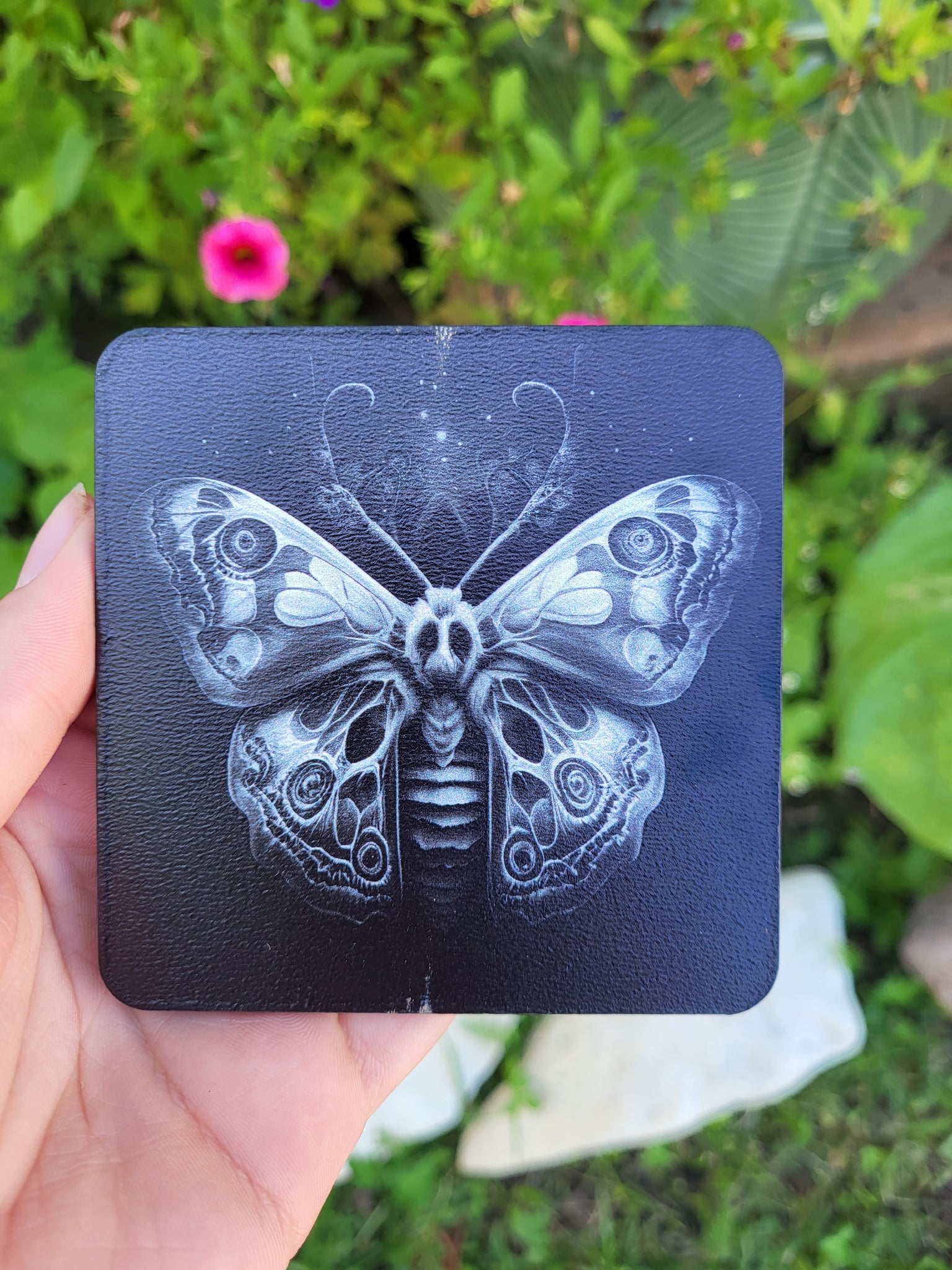 Skull Moth Magnet