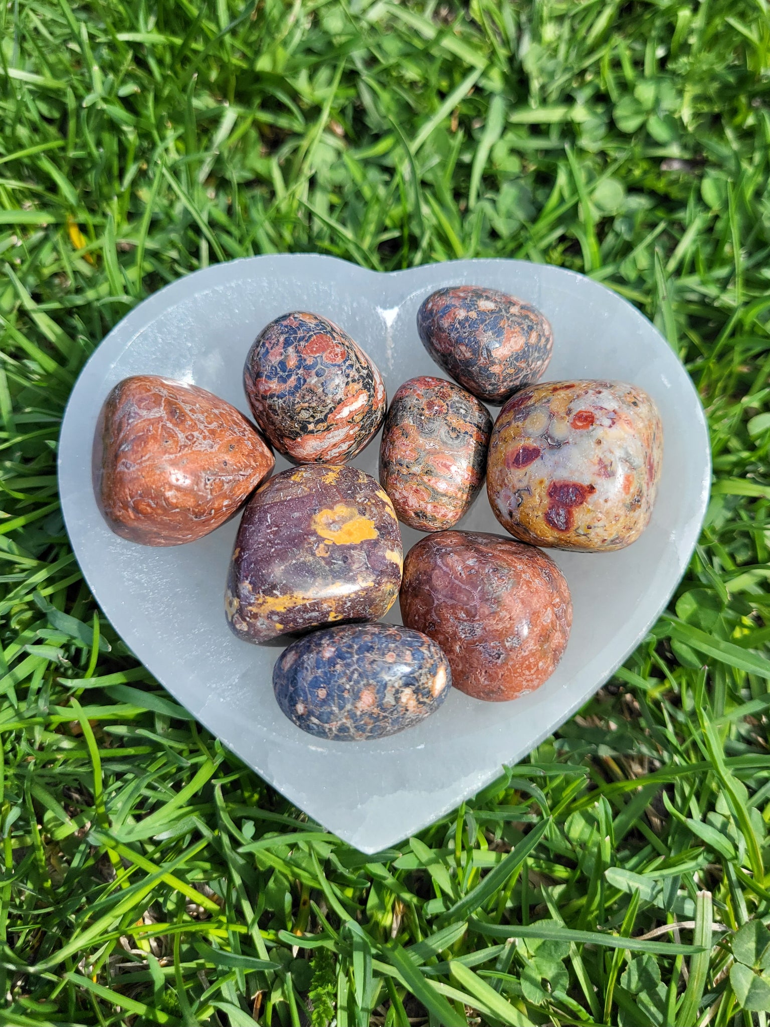 Leopard Jasper Tumbles