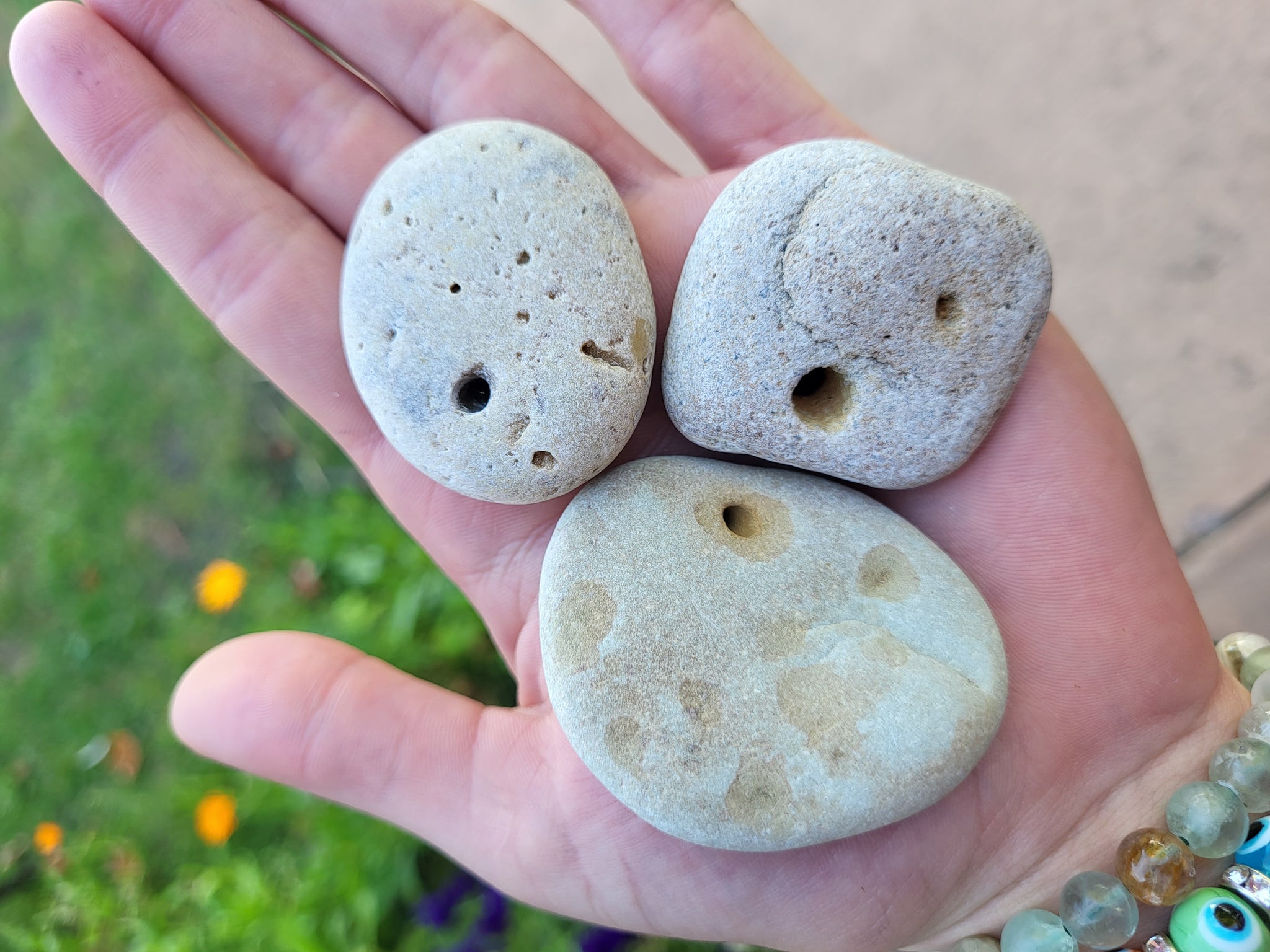 Door County Hag Stones