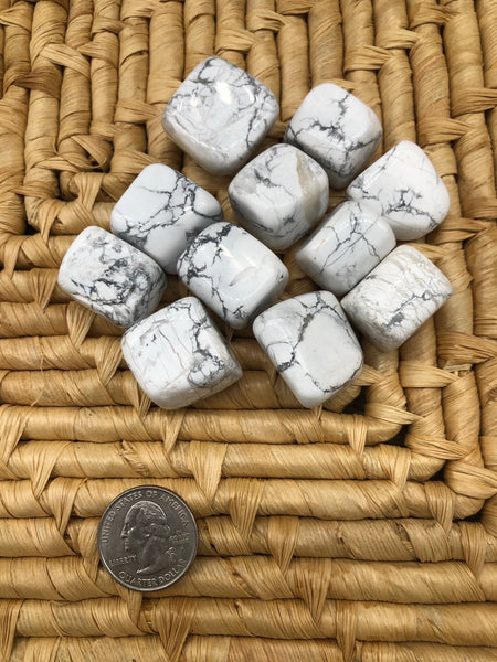 Polished Howlite - The Pearl of Door County