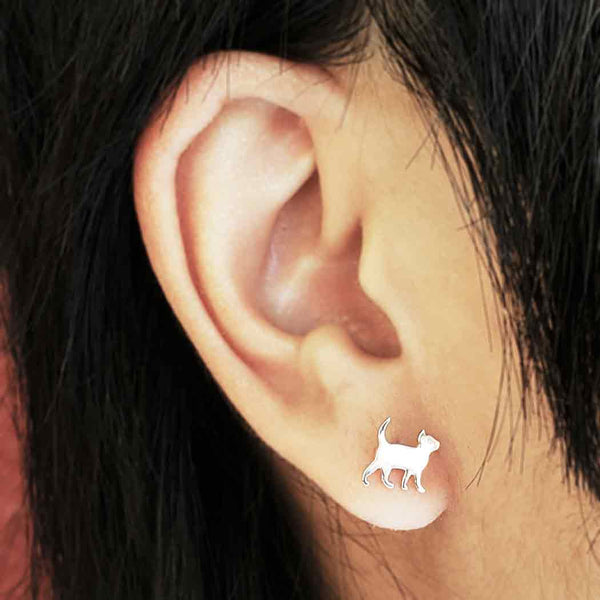 Sterling Silver Curious Kitten Post Earrings