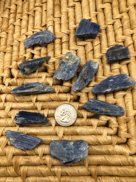Blue Kyanite Blades - The Pearl of Door County