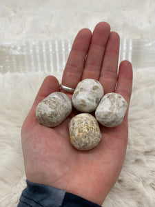 Polished Spotted Calcite - Pocket Stone
