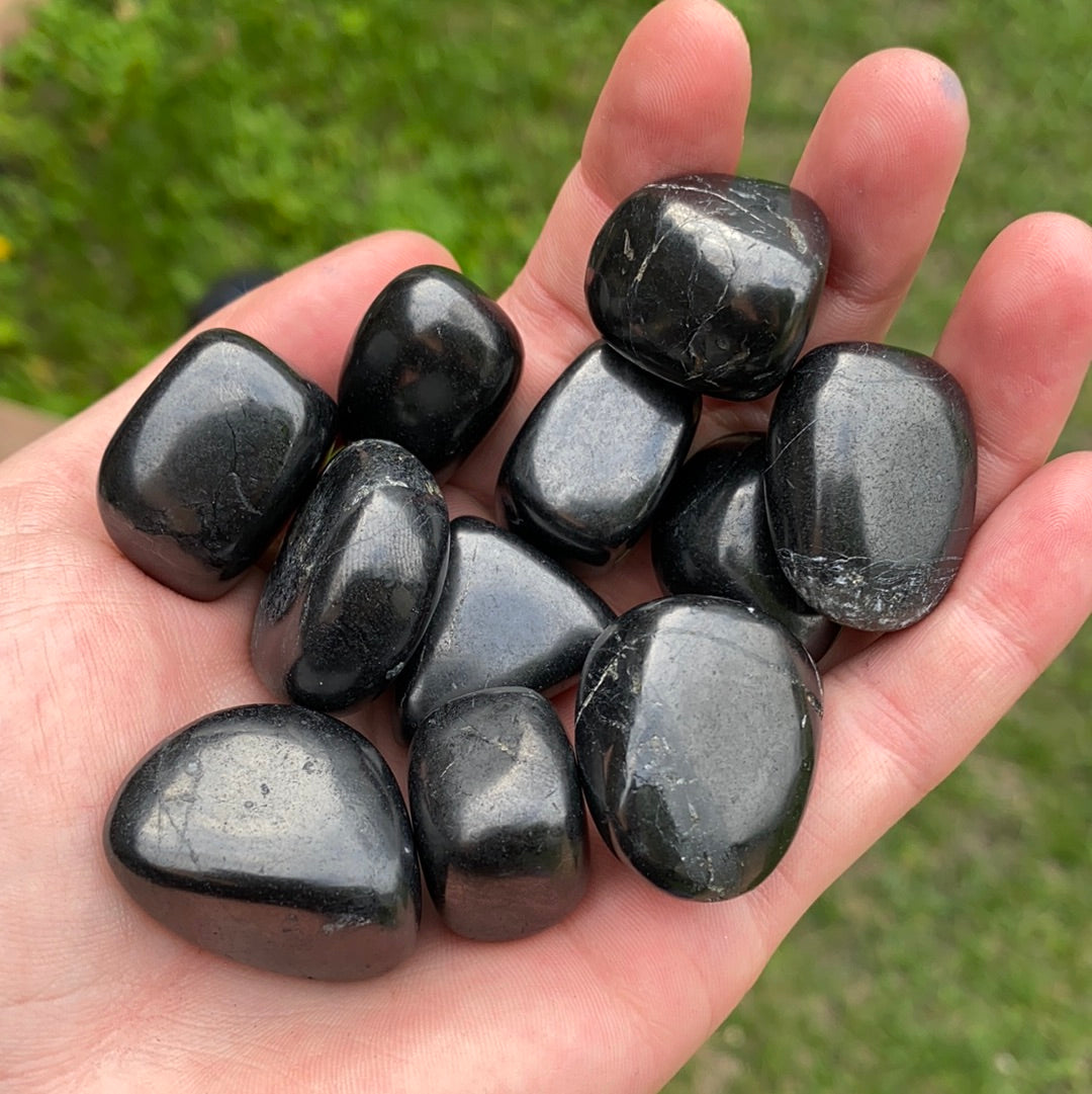 Polished Shungite - The Pearl of Door County
